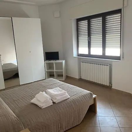 Dmf Civitanova Marche
